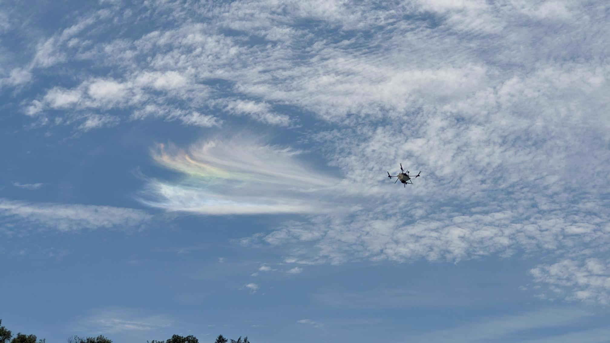 Trichogramma Saison 2024